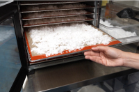 Made in New Jersey: Jersey Shore entrepreneur transforms Atlantic seawater into a growing business