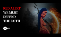 We must profess the faith amid attacks from the Vatican