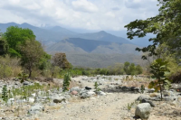 Guatemalan Farmers Lose Their Harvests and Find Hunger Growing in Their Place