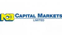 NCB Capital Markets to provide cash upfront to companies while they await payment by government