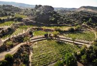Govt aims to boost competitiveness, quality of Cyprus wines