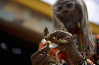 Cannabis Sector Looks Beyond Cultivation to Tourism and Education