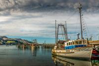 What New Zealand is removing to speed up its fisheries