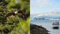 HX Expeditions Unveils 2028-29 Season With 26 New Itineraries