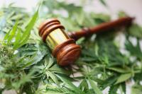 Weakening cannabis track-and-trace rules put California’s young people at risk
