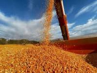 Indiana farmers face soaring diesel costs as harvest begins