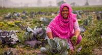 Why climate action now comes down to speed, finance and cooperation