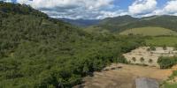 Agriculture encroaches on recovered areas of Brazil’s Atlantic forest