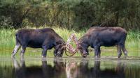 In Utah's Outdoors, one teacher discovered a passion behind the camera lens