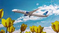 Expert Urges United Airlines To Launch This New 15-Hour Nonstop Route: Here's Why