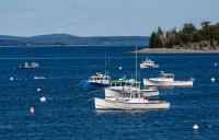 Maine senators ask committee to advance lobster regulation moratorium extension