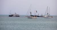 Tunisia: At least 11 detained following protest for release of activists