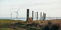 Power grid costs soar to £1million an hour as high winds force Britain to pay wind farms to switch off