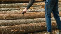 Farmers who plant and manage forests ‘are not passive landowners’