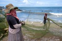 46% of wild-caught fish could be fed to farmed fish and shrimp by 2040, says report