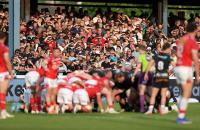 ‘More than just a sport’: Minister for culture and sport questioned on future of rugby in Wales