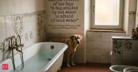 Italian Proverb of the Day: “A dog scalded by hot water is afraid of cold water” A timeless lesson on past experiences