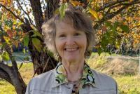 Gillian Anderson runs for Comox Valley Regional District’s Area C with an eye on water