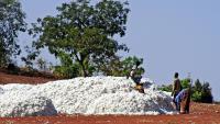 Burkina Faso opens $30m textile facility to cut clothing imports 
