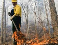 MDC hosting free prescribed fire program in Linneus on Oct. 15
