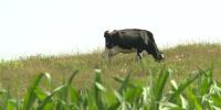 U.S. Department of Agriculture investing $800K in four agriculture projects across Wisconsin