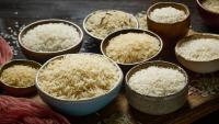 Pakistan rice exports hit record high