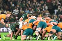 Wallabies not ‘scared’ of Springboks