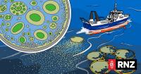 Start-up Gigablue denied law change to push ahead with controversial marine carbon storage