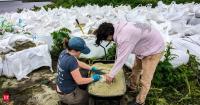 New Orleans is turning discarded bottles into coastal sand. Crushed glass is now helping rebuild shrinking wetlands