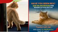 Qatar family goes viral after offering 27,000-dollar reward for return of missing cat, Rex