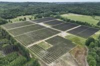 Hart Solar Project Advances Michigan's Clean Energy Future