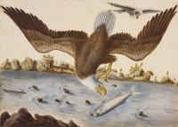 Becoming America: How science shaped a nation