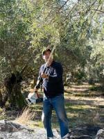 Oliveda International, Inc. (OLVI) Announces Subsidiary Olive Tree People Inc.’s Successful Completion of Demeter Certification Audit for Its First Olive Groves
