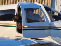 Puppy flies from Williamsburg on journey to new Florida home