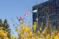 North Bay election results expected all at once Oct. 26, official results Oct. 27