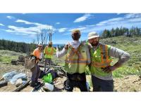 Forests Canada Helps Restore Forests Across the Country with nearly 3.7 Million Trees Planted