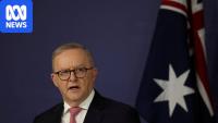 Australia joins global push for AI controls amid fears of runaway AI