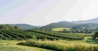 Perfect Pairings in Virginia Wine Country