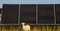 Ohio’s biggest solar project finally gets permit after long legal limbo