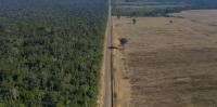 Brazil has made gains against Amazon deforestation, but lasting protection is a challenge