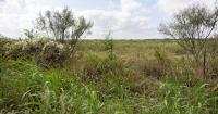 Environmental groups, neighbors sue Austin over Dog's Head development agreement