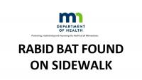 Minnesota Woman Picked Rabid Bat Off Sidewalk. Now Health Officials Are Desperate to Find Her [Updated]