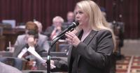 Missouri Rep. Melanie Stinnett hopes to keep Springfield’s state Senate seat Republican