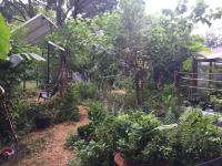 Growing food with Anne Yasalonis & Celia Beamish