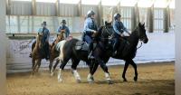 Riding into the Sunset: Minneapolis Ends Minnesota's Last Mounted Police Unit