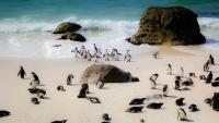 Cape Town pensioners can explore six top attractions for about R18 a visit