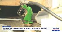 Diesel prices squeeze Southwest Florida businesses, costs could reach consumers
