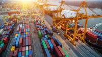 Shipping giants throttle capacity as freight costs explode, and consumers will foot the bill just in time for the holidays
