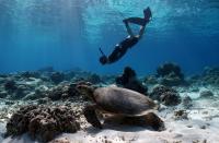 Tourism has potential to slow coral decline at Bali travel hotspot: Study