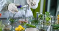 From trend-chasing to execution II: What food innovation needs next